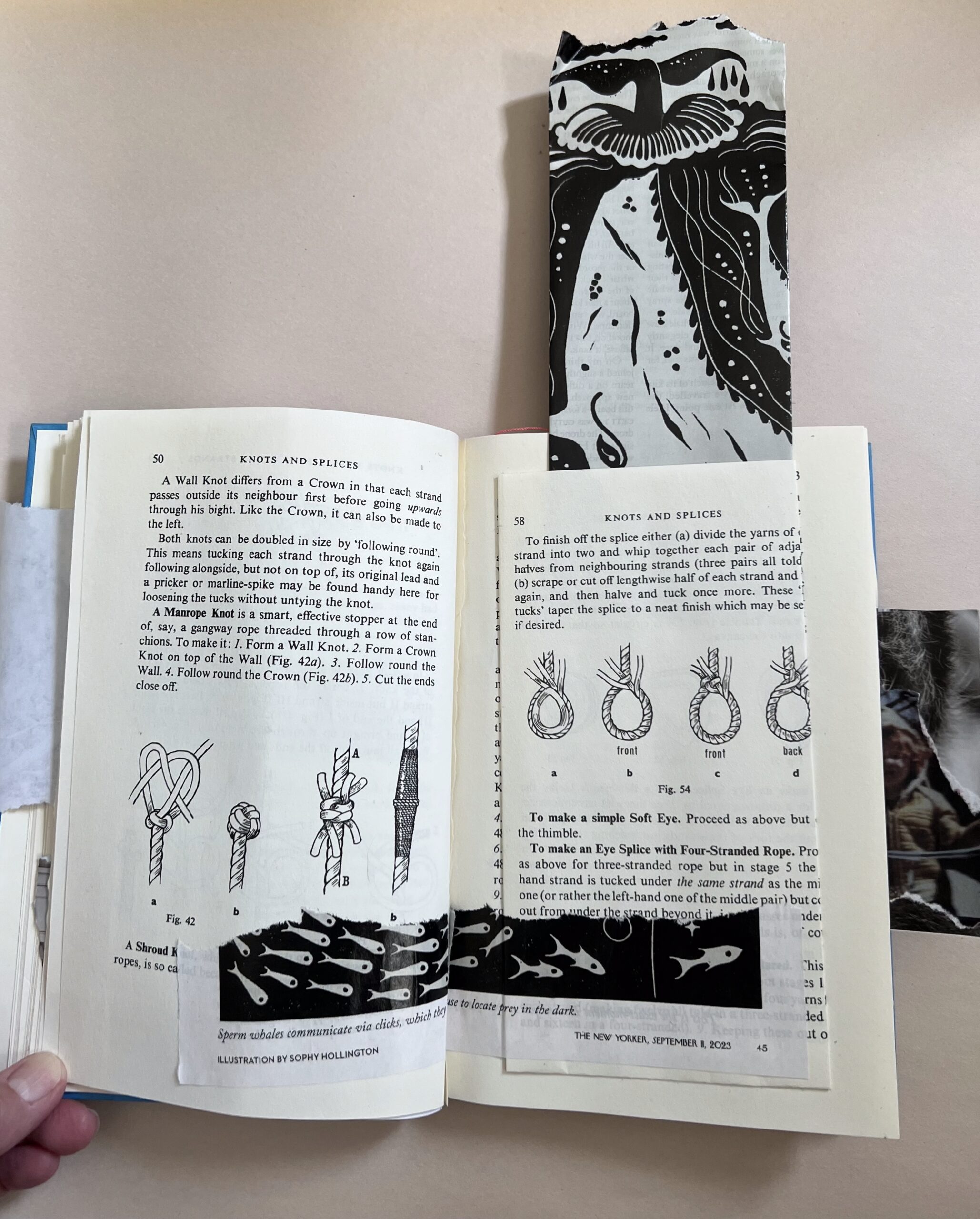DeconsructedBook_2a