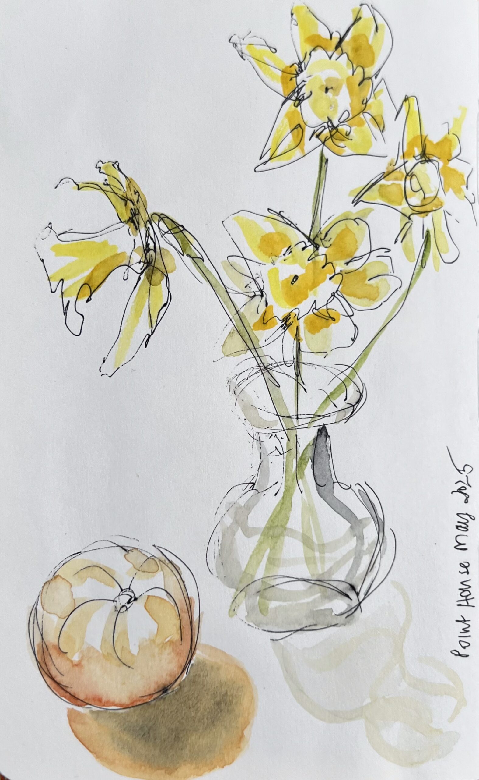 PointHouseDaffies